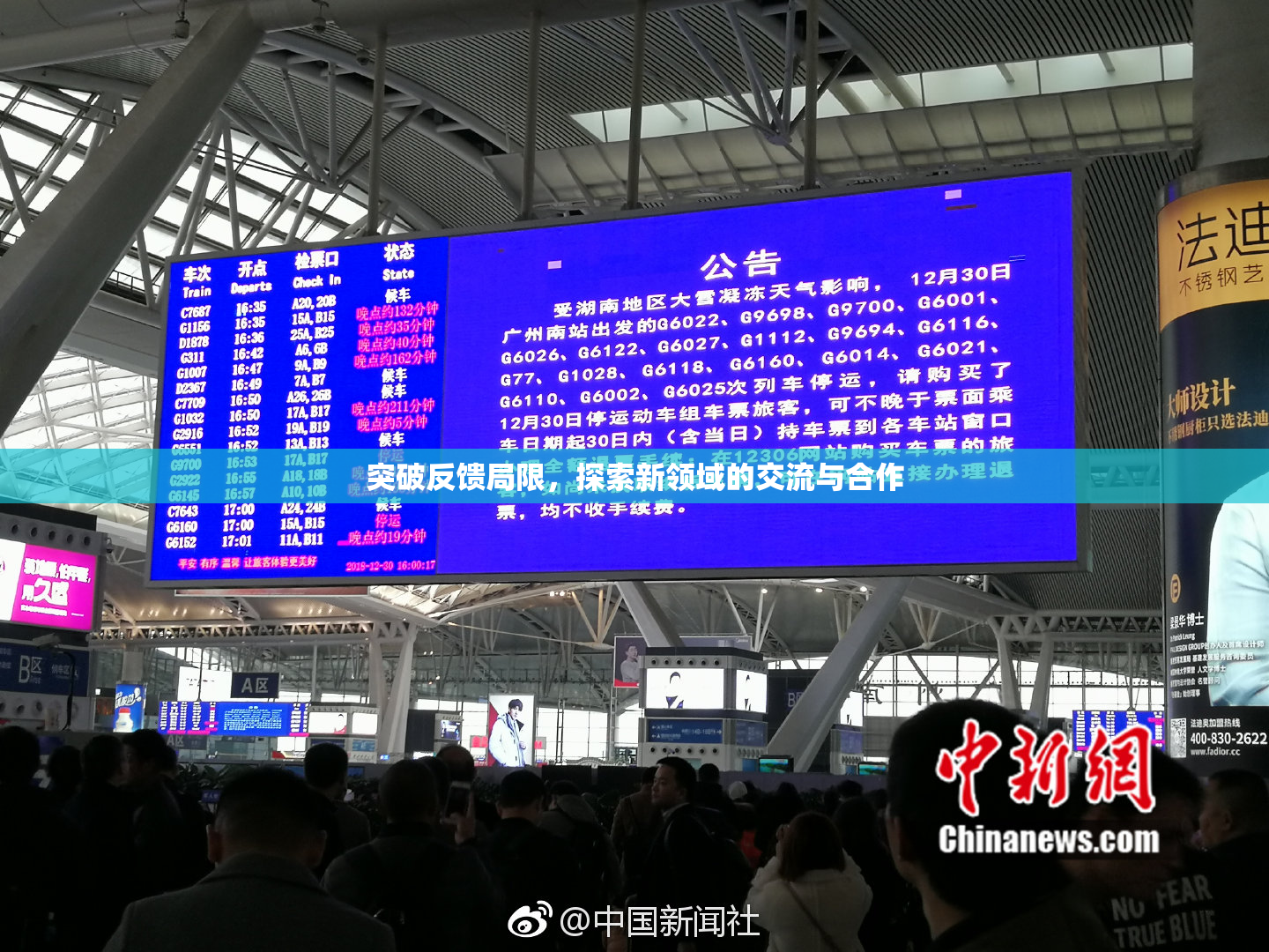 突破反馈局限，探索新领域的交流与合作