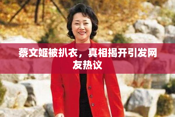 蔡文姬被扒衣，真相揭开引发网友热议