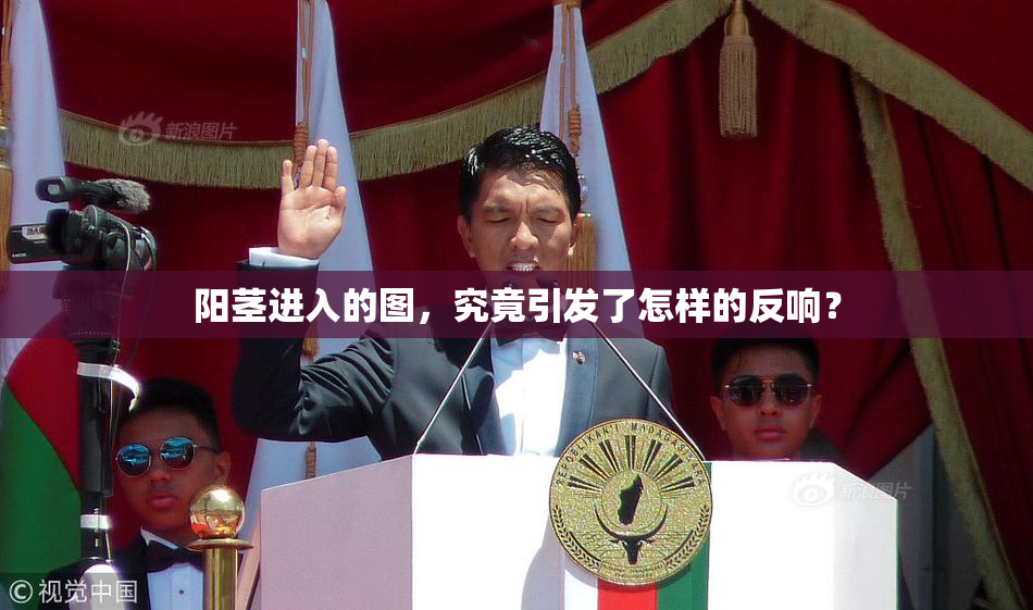 阳茎进入的图，究竟引发了怎样的反响？