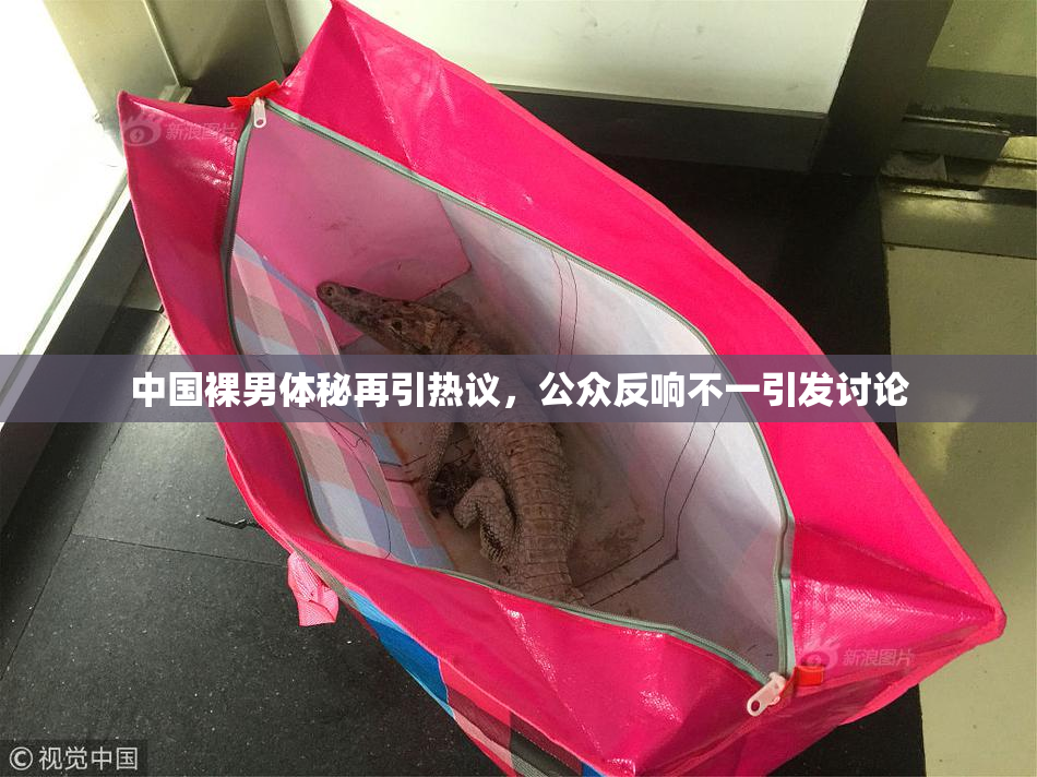 中国裸男体秘再引热议，公众反响不一引发讨论