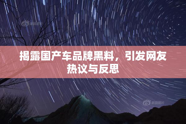 揭露国产车品牌黑料，引发网友热议与反思