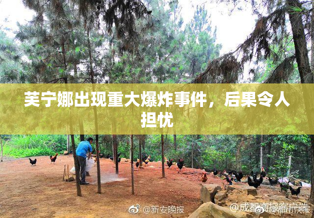 芙宁娜出现重大爆炸事件，后果令人担忧