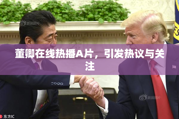 董卿在线热播A片，引发热议与关注