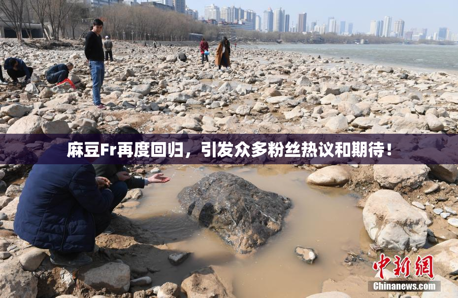麻豆Fr再度回归，引发众多粉丝热议和期待！
