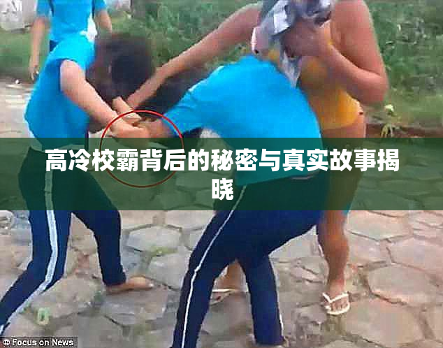 高冷校霸背后的秘密与真实故事揭晓