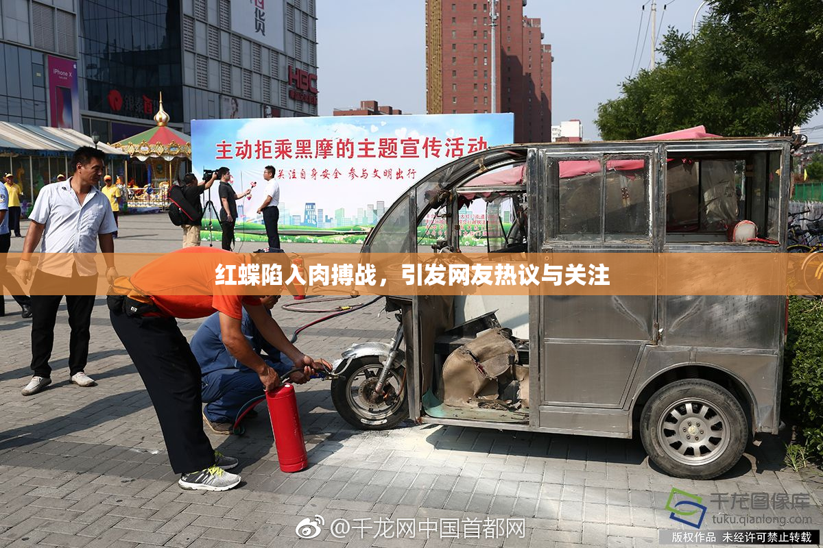 红蝶陷入肉搏战，引发网友热议与关注