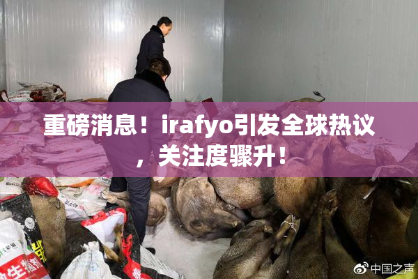 重磅消息！irafyo引发全球热议，关注度骤升！