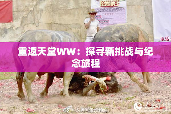 重返天堂WW：探寻新挑战与纪念旅程