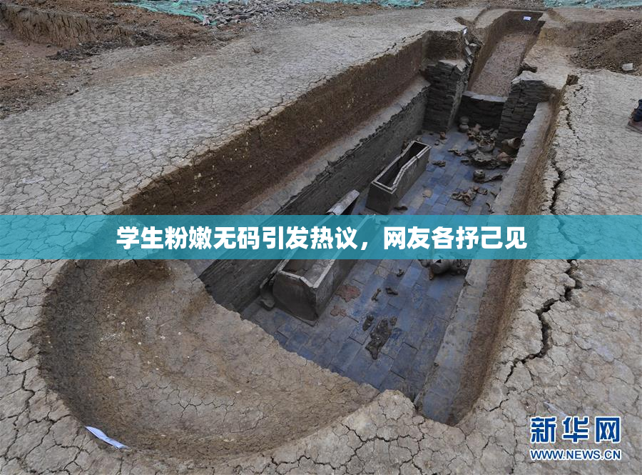 学生粉嫩无码引发热议，网友各抒己见
