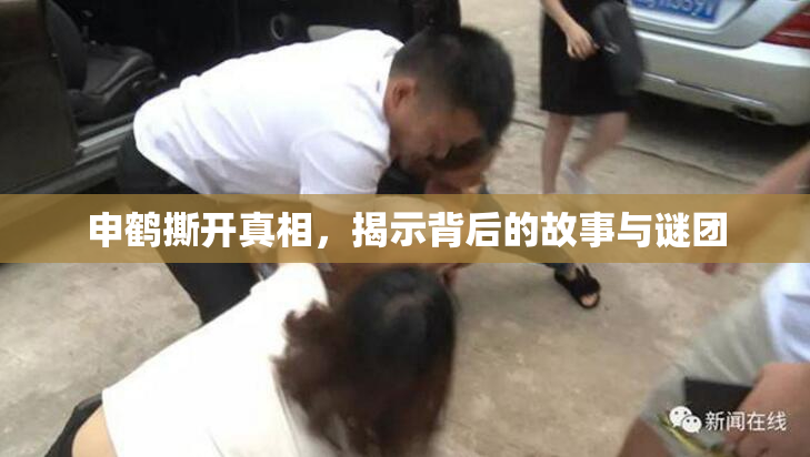 申鹤撕开真相，揭示背后的故事与谜团