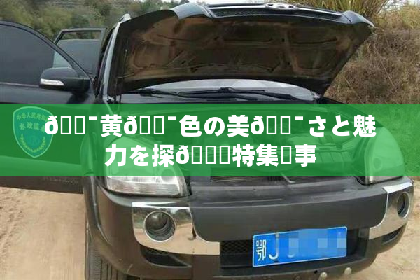 🔯黄🔯色の美🔯さと魅力を探🌃特集記事