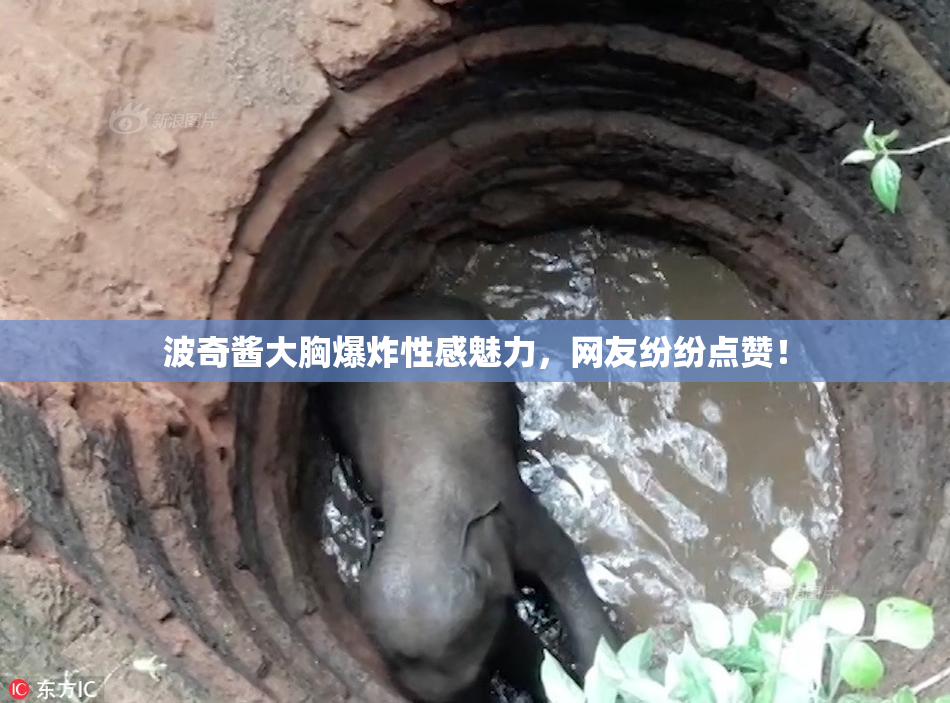 波奇酱大胸爆炸性感魅力，网友纷纷点赞！