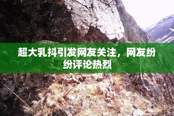 超大乳抖引发网友关注，网友纷纷评论热烈