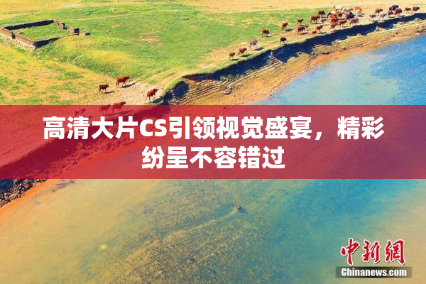 高清大片CS引领视觉盛宴，精彩纷呈不容错过