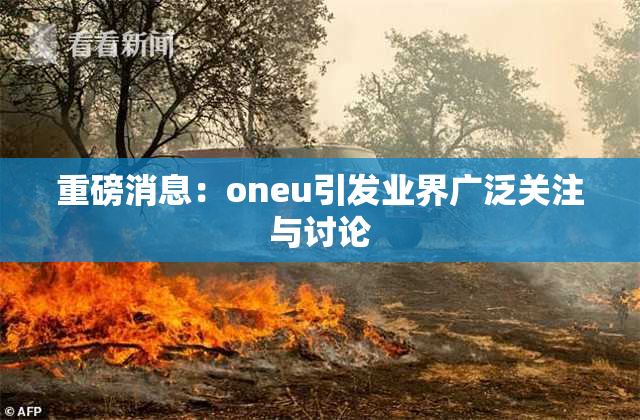 重磅消息：oneu引发业界广泛关注与讨论