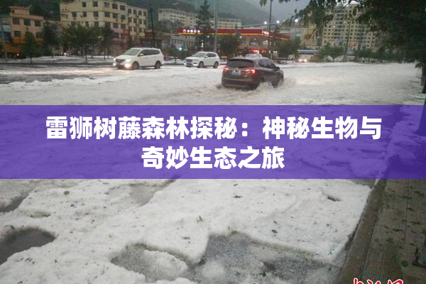 雷狮树藤森林探秘：神秘生物与奇妙生态之旅