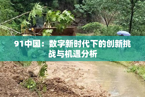 91中国：数字新时代下的创新挑战与机遇分析