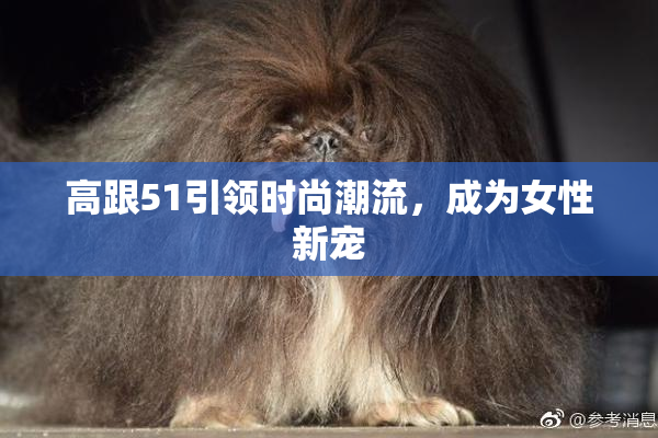 高跟51引领时尚潮流，成为女性新宠