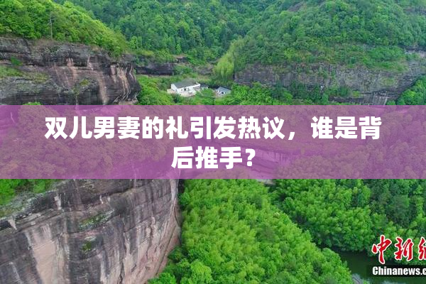 双儿男妻的礼引发热议，谁是背后推手？