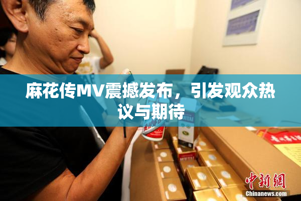 麻花传MV震撼发布，引发观众热议与期待