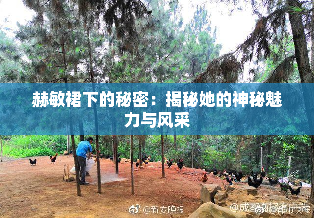 赫敏裙下的秘密：揭秘她的神秘魅力与风采