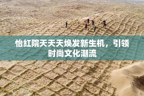 怡红院天天天焕发新生机，引领时尚文化潮流