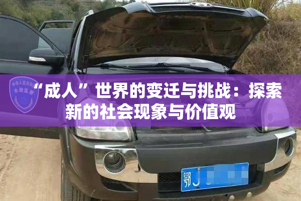 “成人”世界的变迁与挑战：探索新的社会现象与价值观