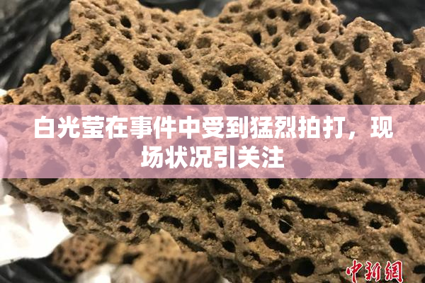 白光莹在事件中受到猛烈拍打，现场状况引关注