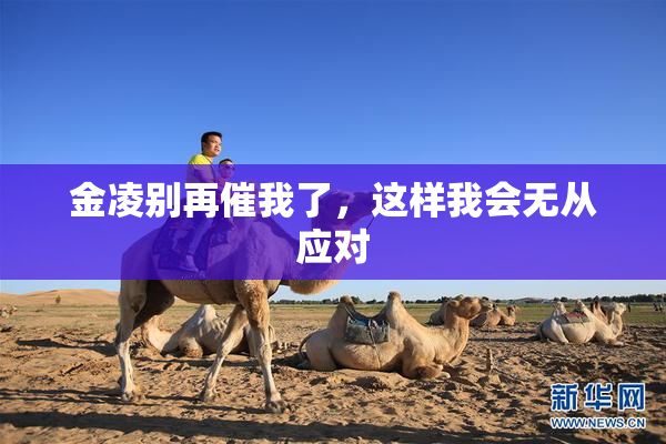 金凌别再催我了，这样我会无从应对