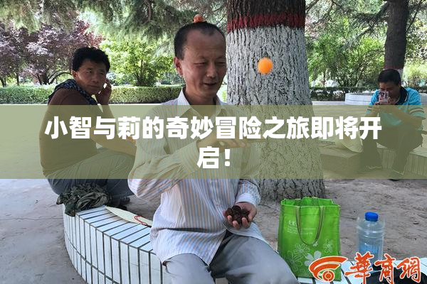 小智与莉的奇妙冒险之旅即将开启！