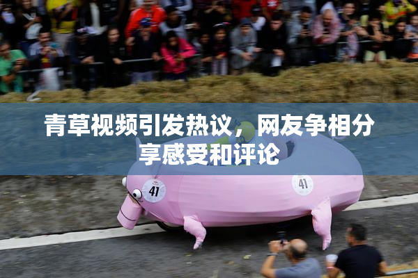 青草视频引发热议，网友争相分享感受和评论