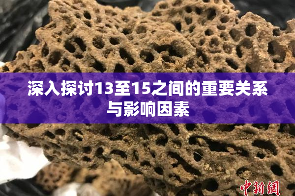 深入探讨13至15之间的重要关系与影响因素
