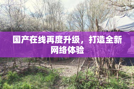 国产在线再度升级，打造全新网络体验