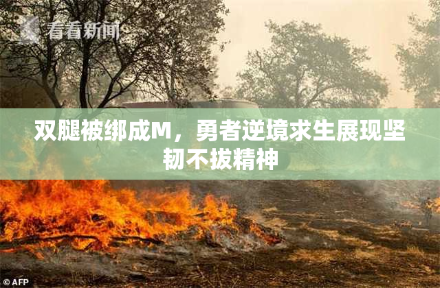 双腿被绑成M，勇者逆境求生展现坚韧不拔精神