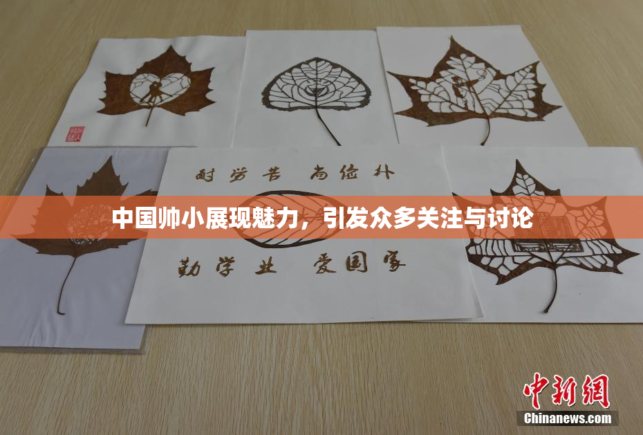 中国帅小展现魅力，引发众多关注与讨论