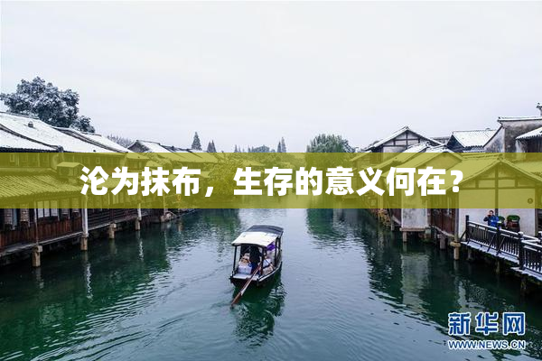 沦为抹布，生存的意义何在？