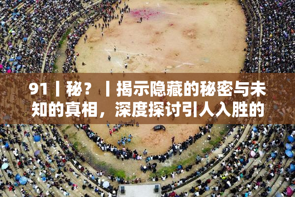91丨秘？丨揭示隐藏的秘密与未知的真相，深度探讨引人入胜的故事