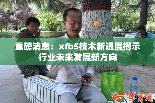 重磅消息：xfb5技术新进展揭示行业未来发展新方向