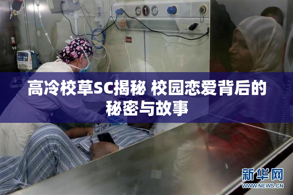 高冷校草SC揭秘 校园恋爱背后的秘密与故事