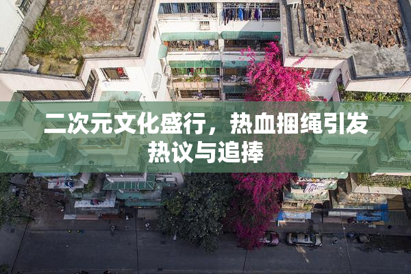 二次元文化盛行，热血捆绳引发热议与追捧