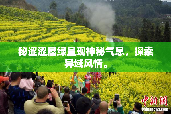 秘涩涩屋绿呈现神秘气息，探索异域风情。