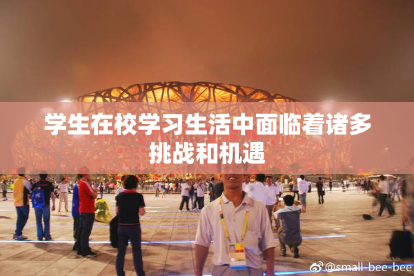 学生在校学习生活中面临着诸多挑战和机遇