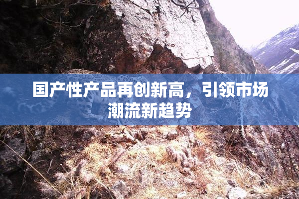 国产性产品再创新高，引领市场潮流新趋势
