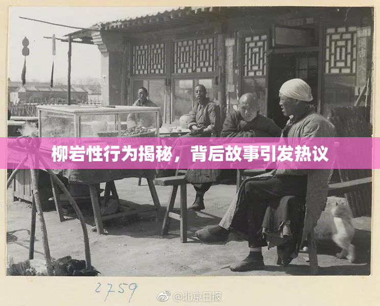 柳岩性行为揭秘，背后故事引发热议