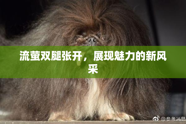 流萤双腿张开，展现魅力的新风采