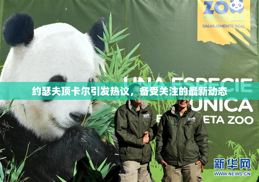 约瑟夫顶卡尔引发热议，备受关注的最新动态