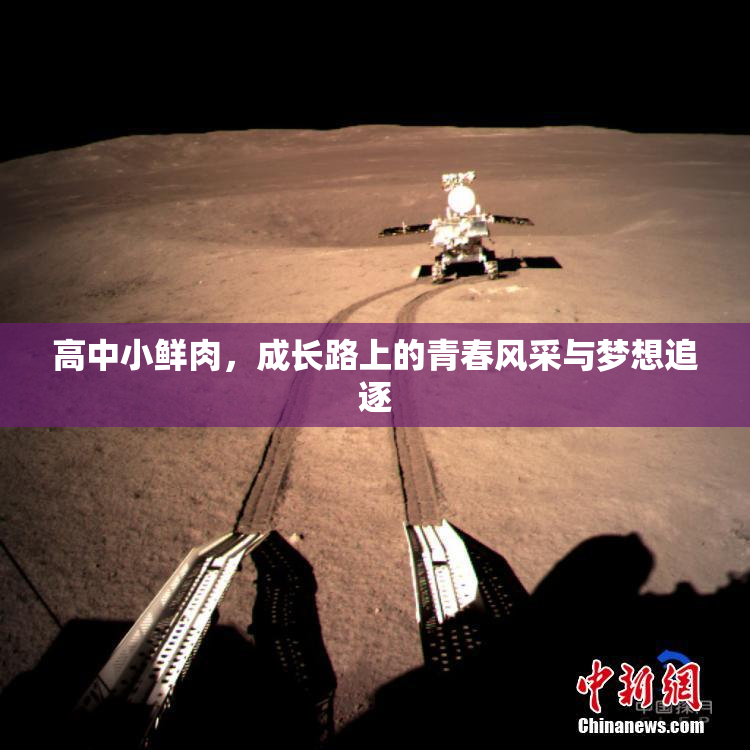 高中小鲜肉，成长路上的青春风采与梦想追逐