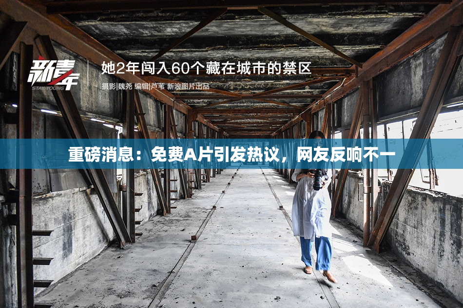 重磅消息：免费A片引发热议，网友反响不一