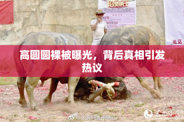 高圆圆裸被曝光，背后真相引发热议