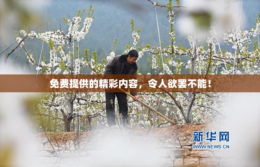 免费提供的精彩内容，令人欲罢不能！